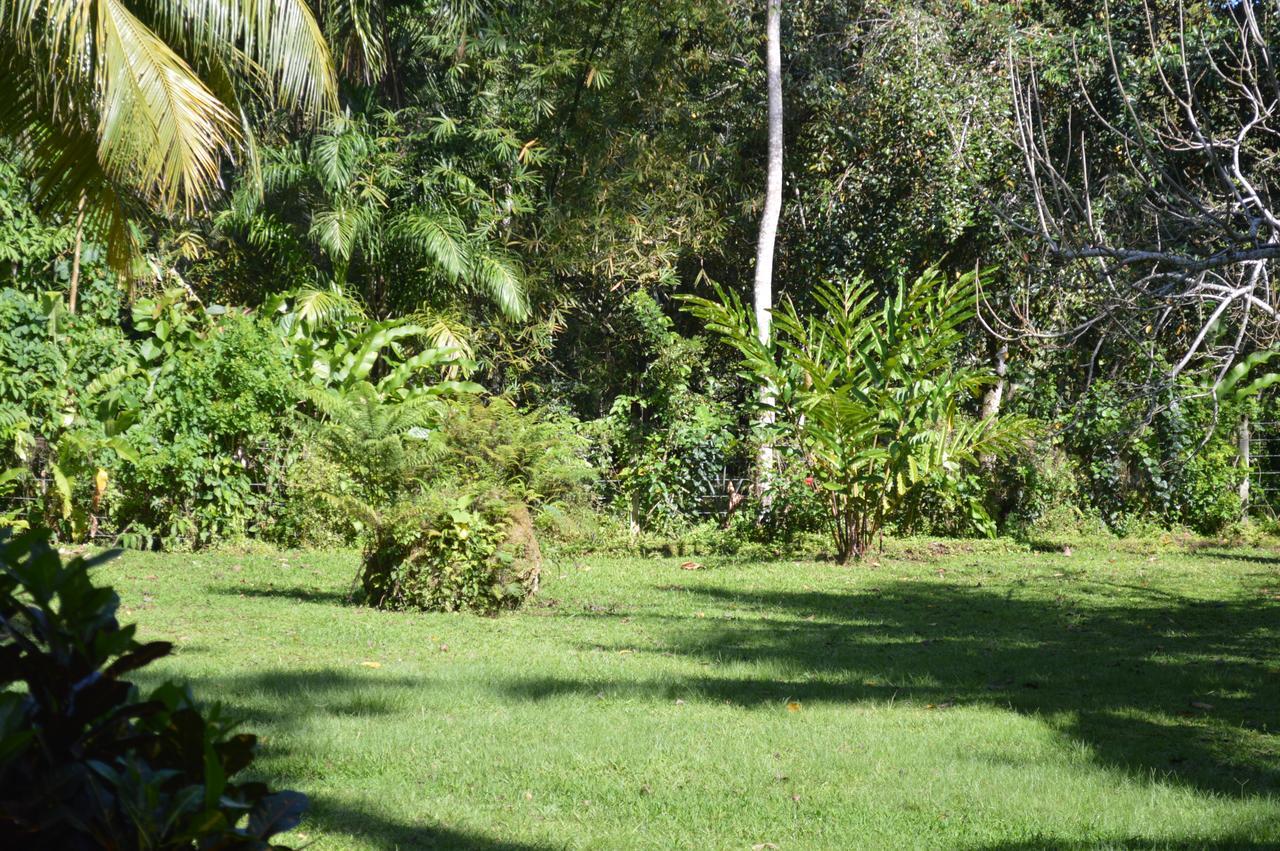 Villa Casita Amarilla Cahuita Exterior foto
